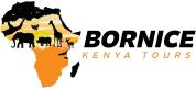 Bornice Kenya Tours